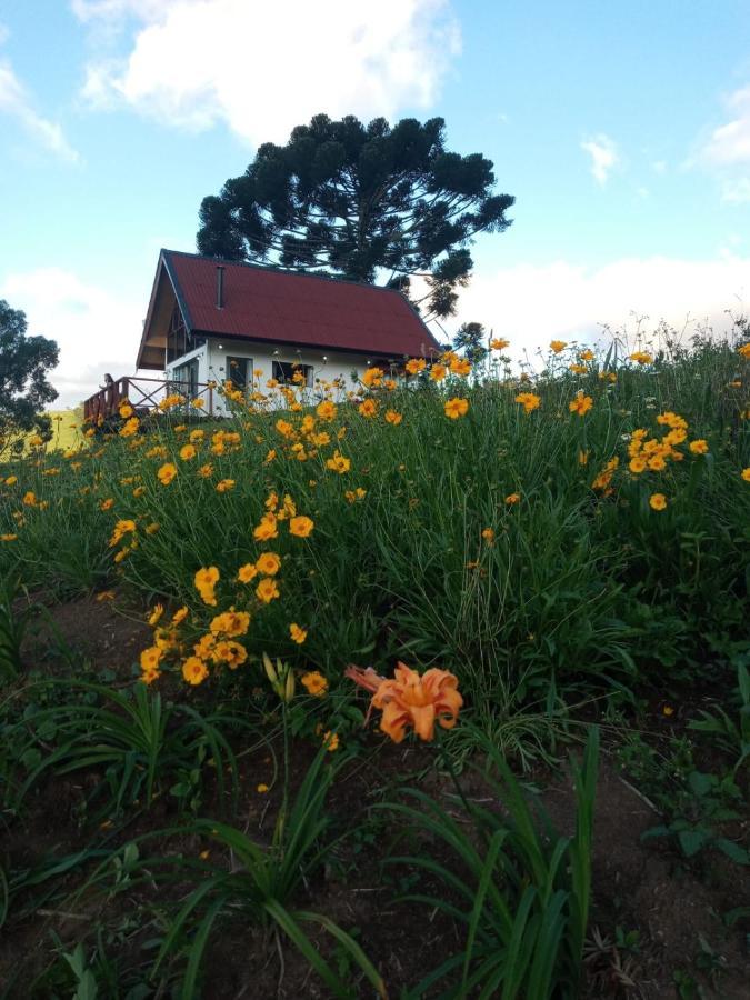 Chale Com Vidros E Hidromassagem Villa Sao Bento do Sapucai Luaran gambar